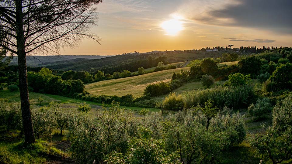 MOUNTAIN BIKE ELECTRIC CHIANTI TOUR